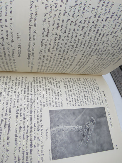 Birds In Britain By Francs Pitt 1948