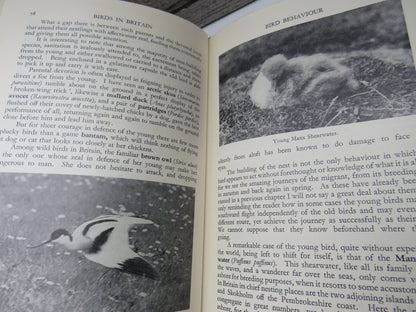 Birds In Britain By Francs Pitt 1948
