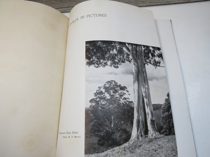 Australia in Pictures by Charles Barrett, 1946 book image 3