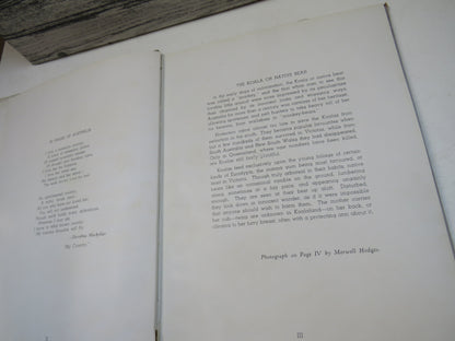 Australia in Pictures by Charles Barrett, 1946 book image 4