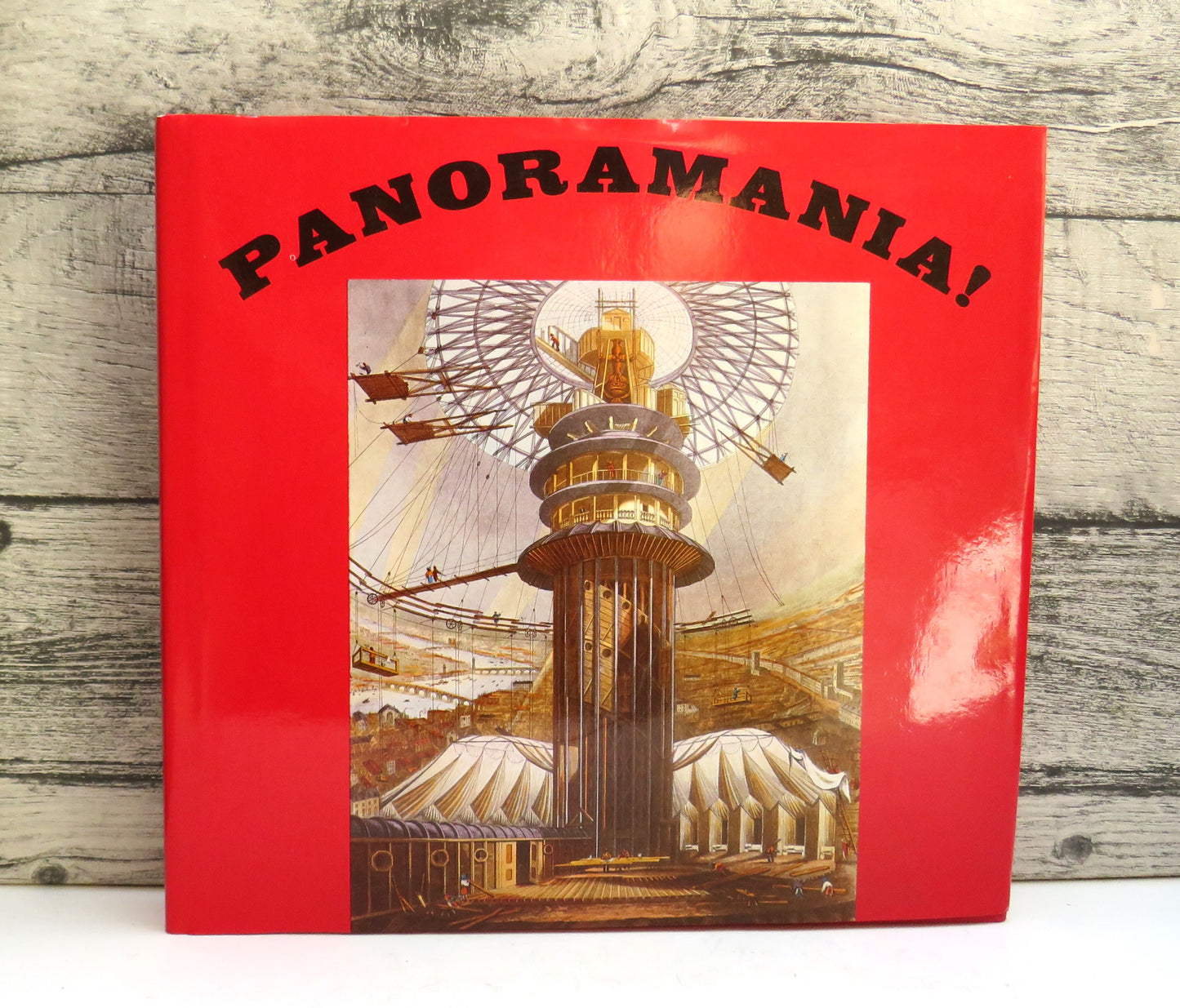 Panoramania! The Art and Entertainment of the 'All-Embracing' View By Ralph Hyde 1988