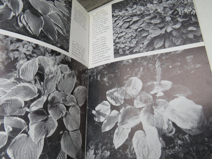 Plants For Ground-Cover Written and Illustrated By Graham Stuart Thomas 1971