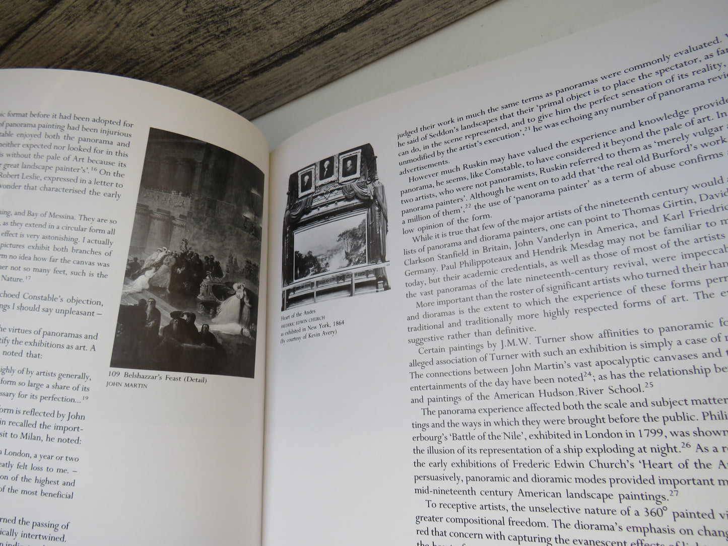 Panoramania! The Art and Entertainment of the 'All-Embracing' View By Ralph Hyde 1988
