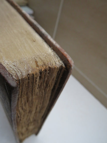 Traditions Teratologiques Ou Recits De L'Antiquite Et Du Moyen Age En Occident Par Jules Berger De X book image 3