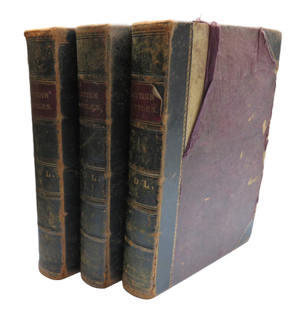 British Battles on Land and Sea by James Grant Volumes I, II and III book front cover