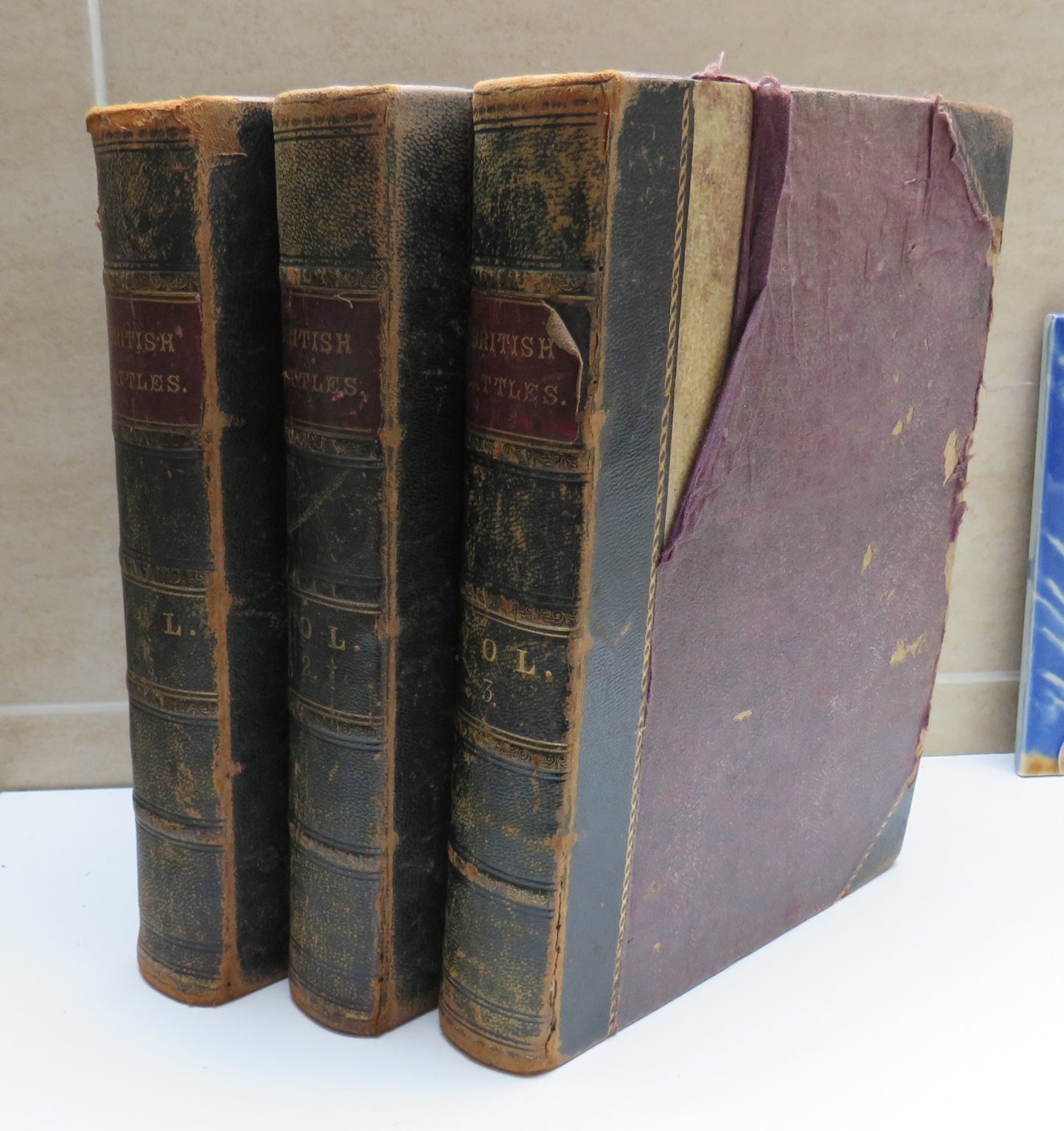 British Battles on Land and Sea by James Grant Volumes I, II and III