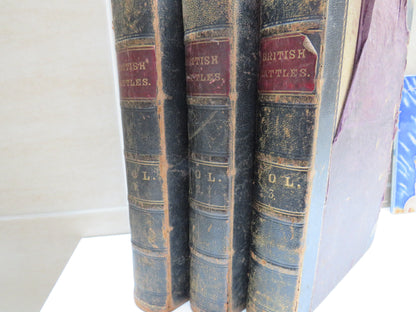 British Battles on Land and Sea by James Grant Volumes I, II and III book image 6