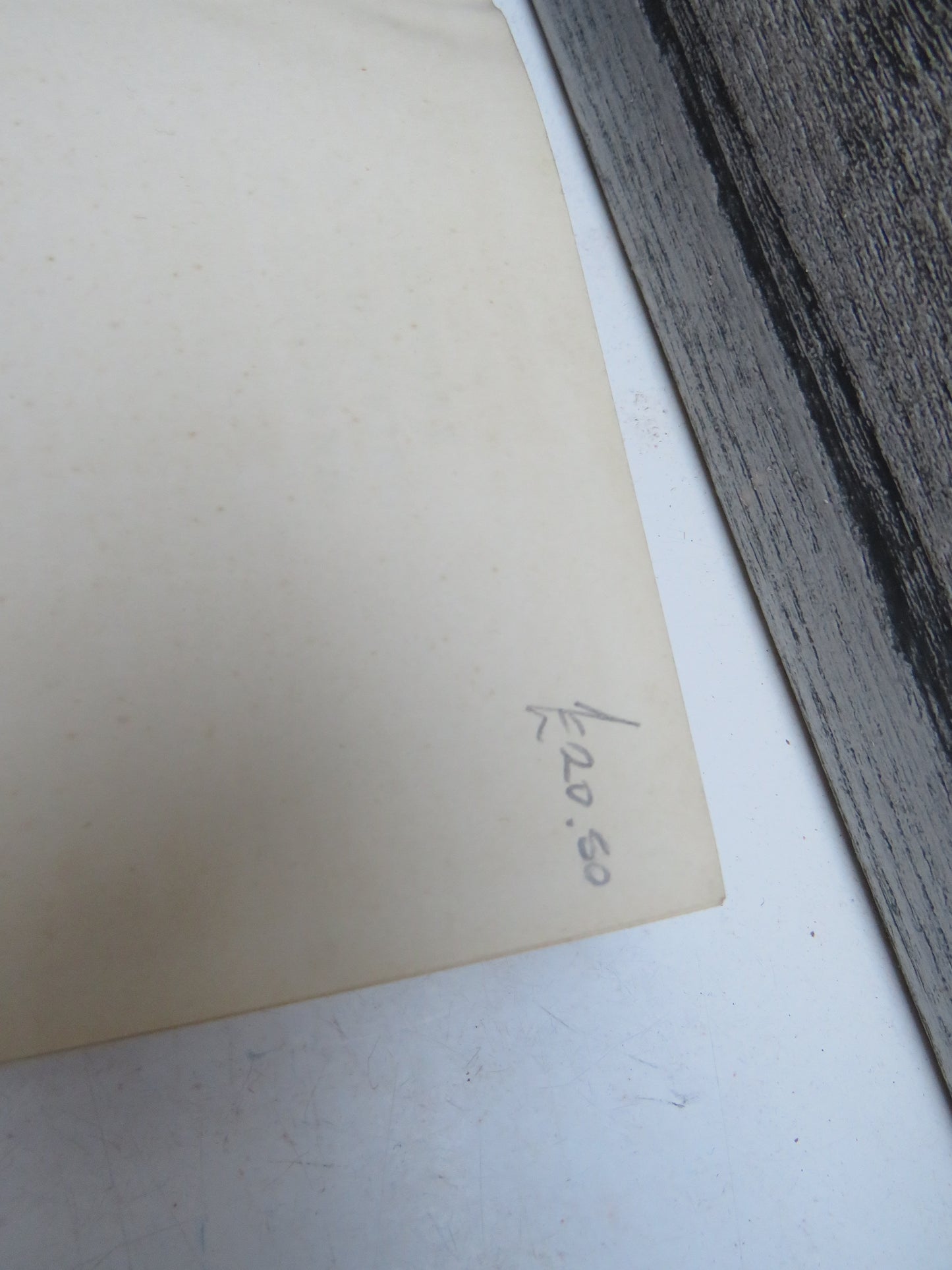 A History of Gardening In Scotland By E. H. M. Cox 1935