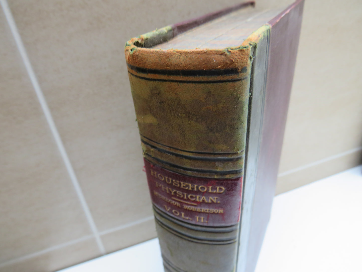 The Household Physician Half-Volume II, A Family Guide to the Preservation of Health and to the Domestic Treatment of Ailments and Disease... by J. M'Gregor-Robertson, 1900