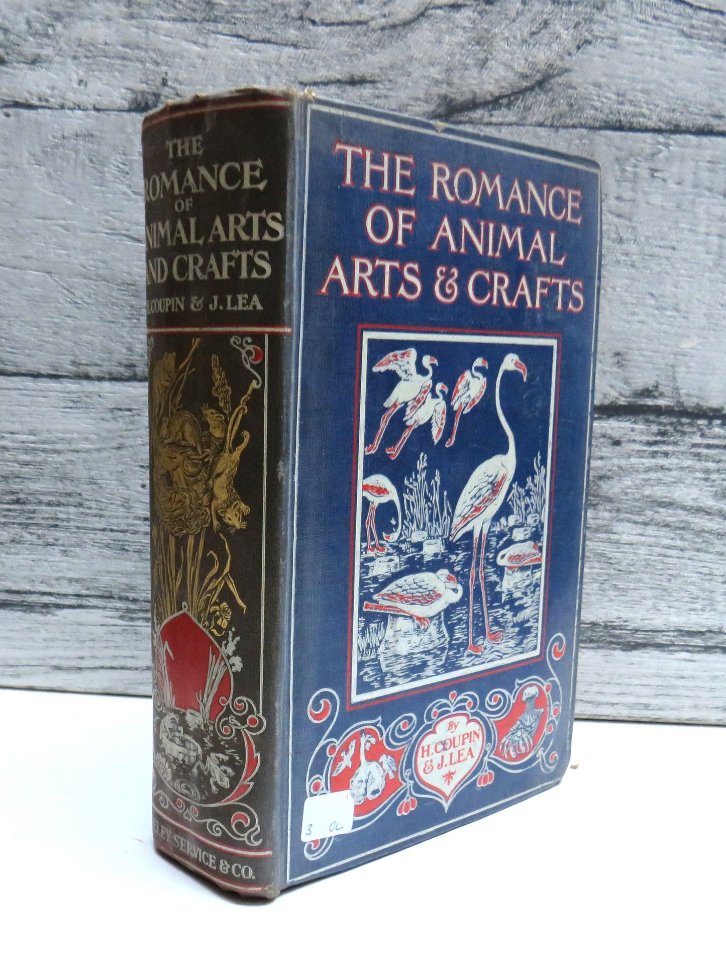 The Romance of Animal Arts & Crafts By H. Coupin and John Lea 1927