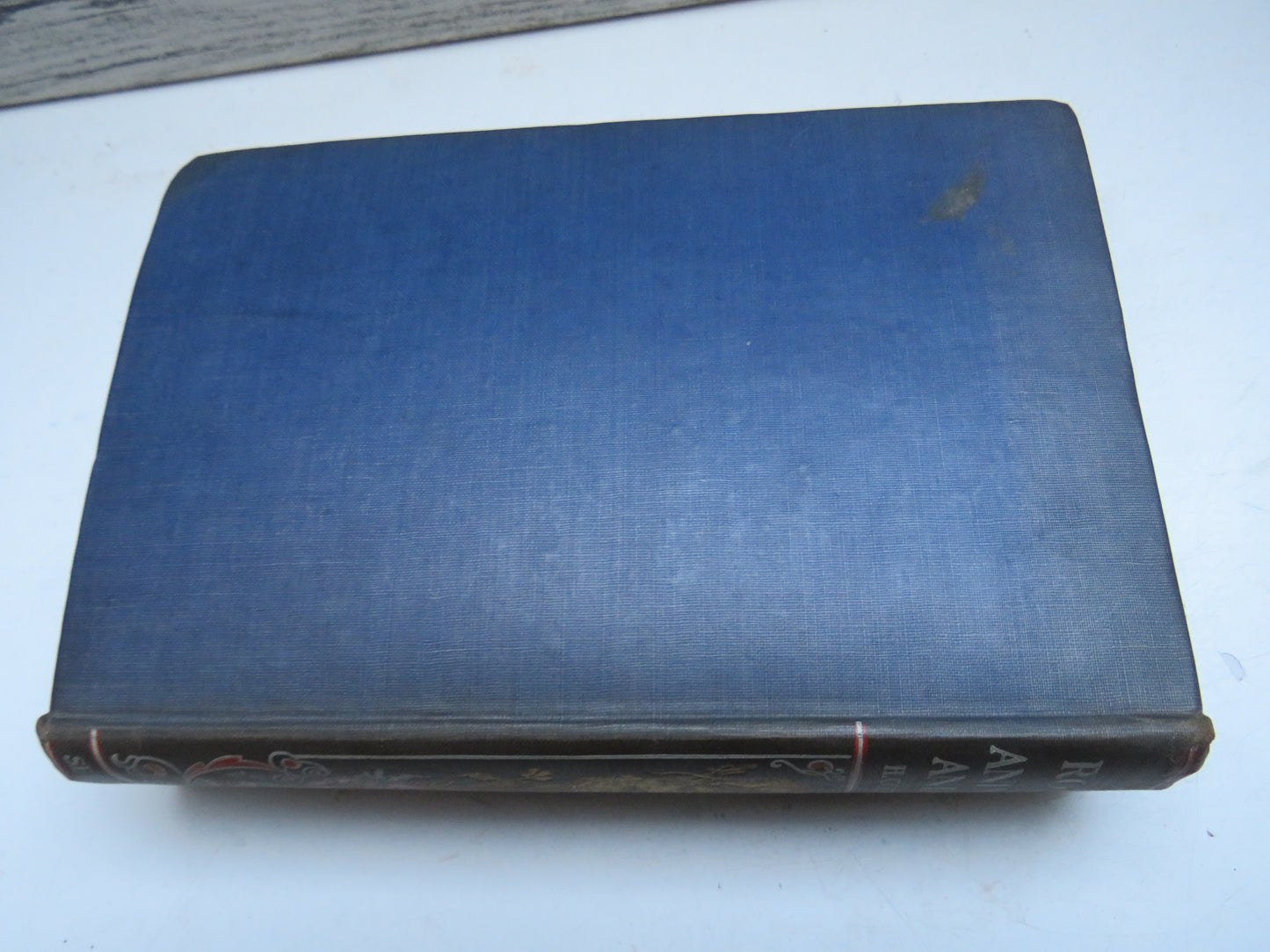 The Romance of Animal Arts & Crafts By H. Coupin and John Lea 1927