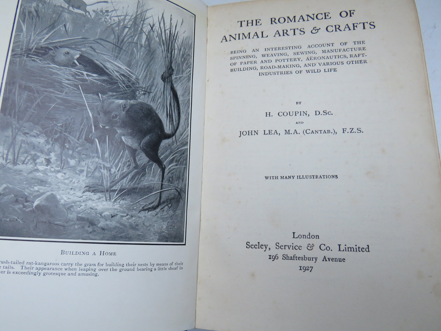 The Romance of Animal Arts & Crafts By H. Coupin and John Lea 1927
