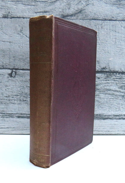Self-Help; With Illustrations of Character, Conduct and Perseverance By Samuel Smiles 1869