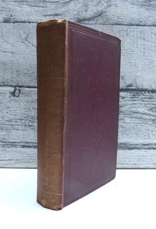 Self-Help; With Illustrations of Character, Conduct and Perseverance By Samuel Smiles 1869