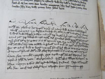 Reports From The Select Committee Appointed To Inquire Into The State of Public Records of the Kingd book image 10