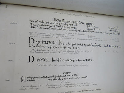 Reports From The Select Committee Appointed To Inquire Into The State of Public Records of the Kingd book image 11