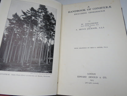 A Handbook of Coniferae including Ginkgoaceae by W. Dallimore & A. Bruce Jackson, 1923 book image 4