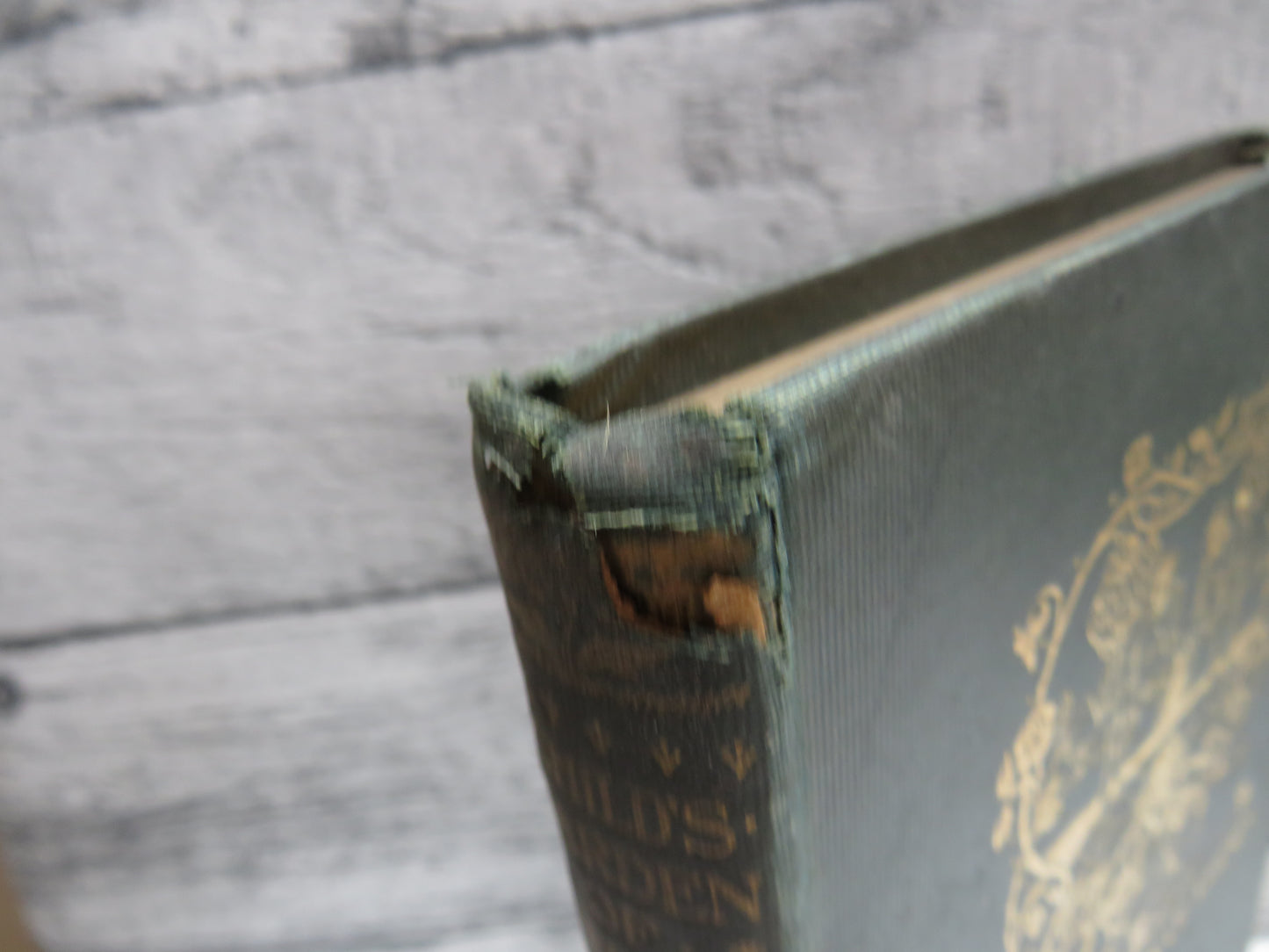 A Child's Garden of Verses by Robert Louis Stevenson, Illustrated by Charles Robinson, 1899