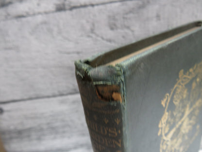 A Child's Garden of Verses by Robert Louis Stevenson, Illustrated by Charles Robinson, 1899 book image 2