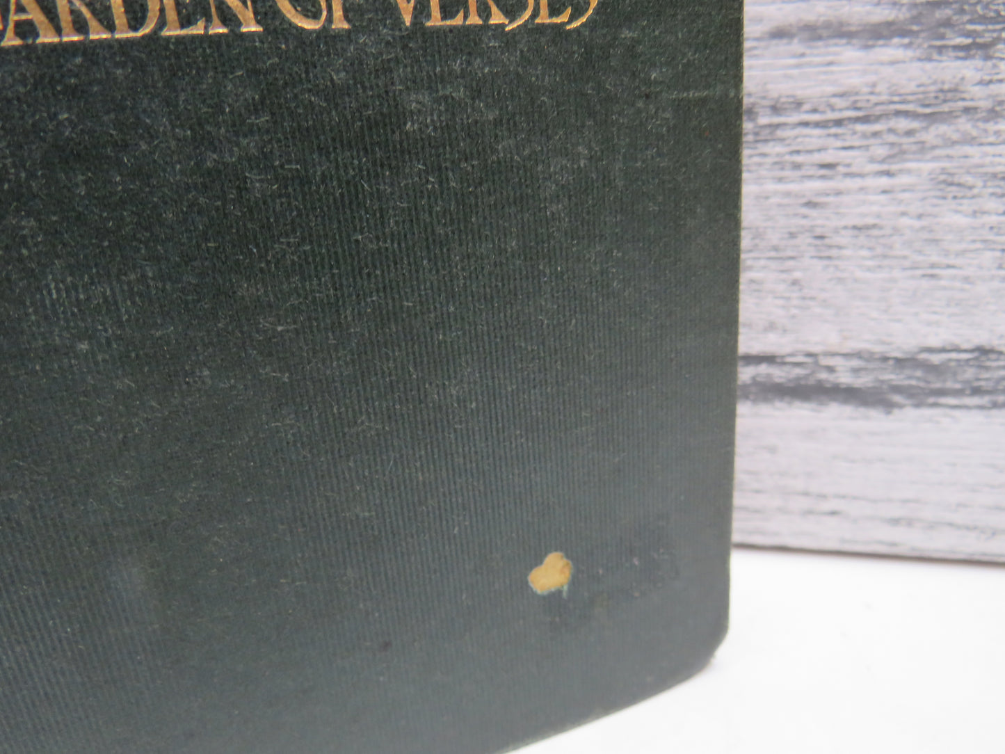 A Child's Garden of Verses by Robert Louis Stevenson, Illustrated by Charles Robinson, 1899