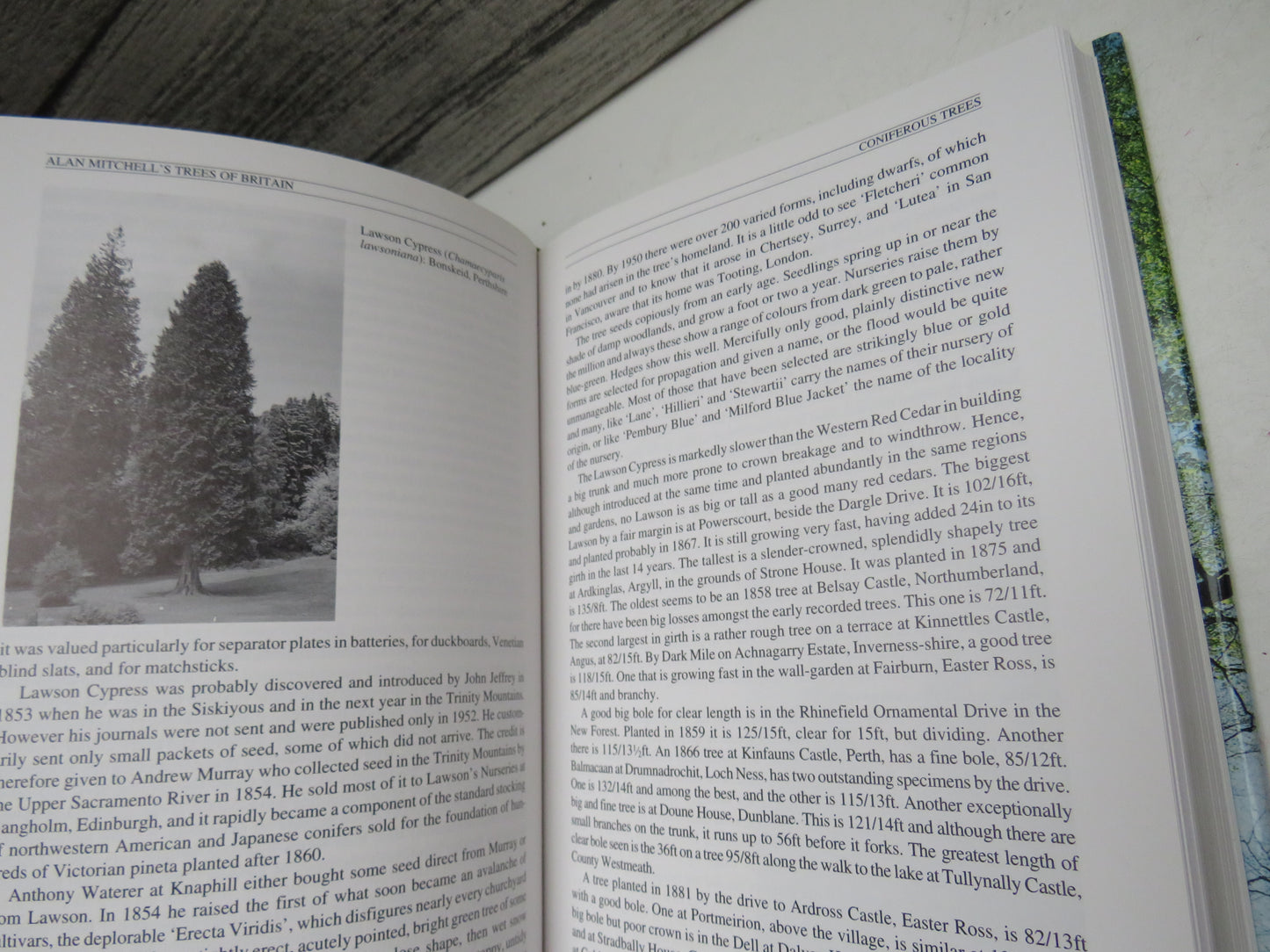 Alan Mitchell's Trees of Britain 1996