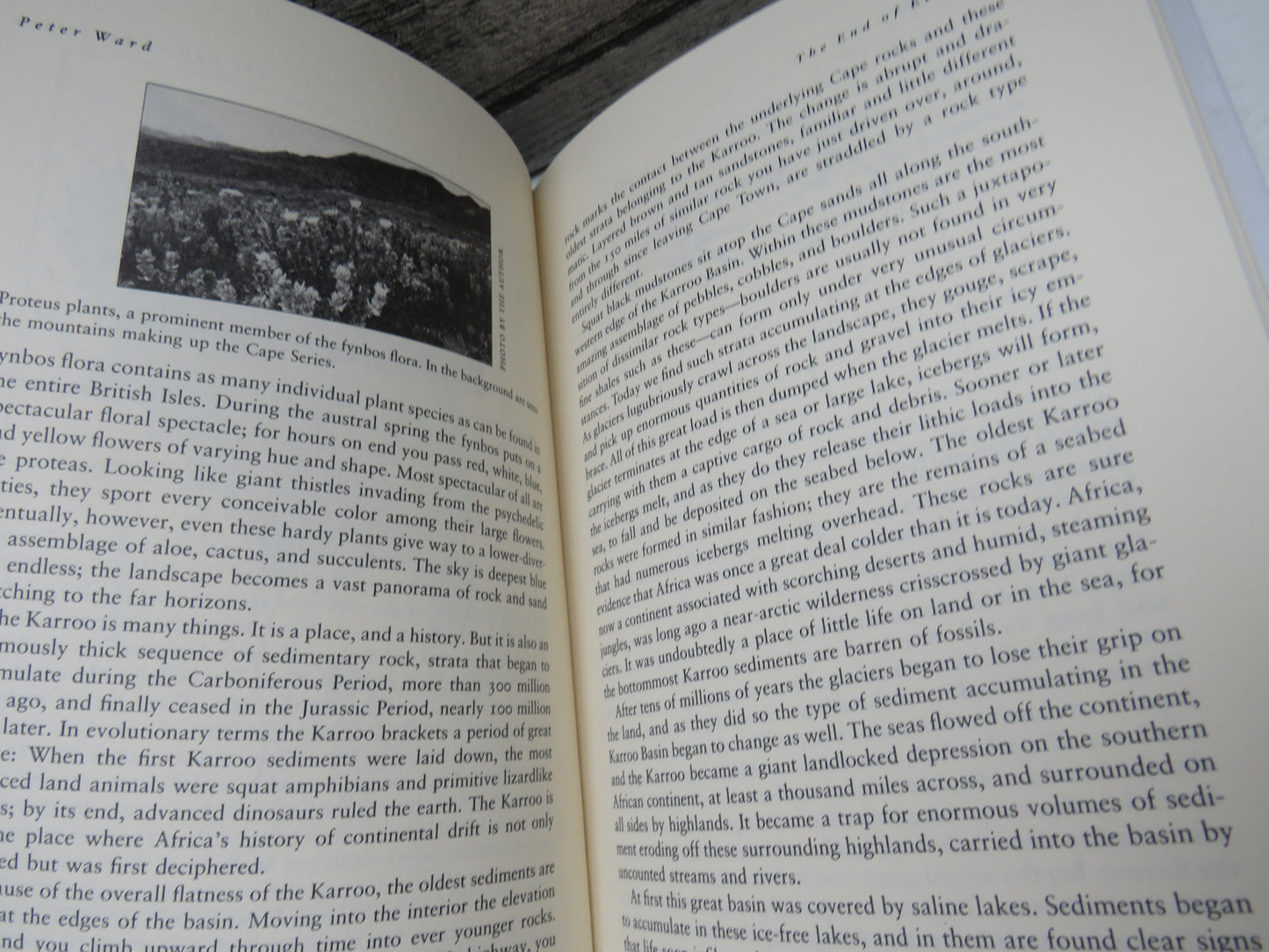 The End of Evolution Dinosaurs, Mass Extinction and Biodiversity By Peter Ward 1995