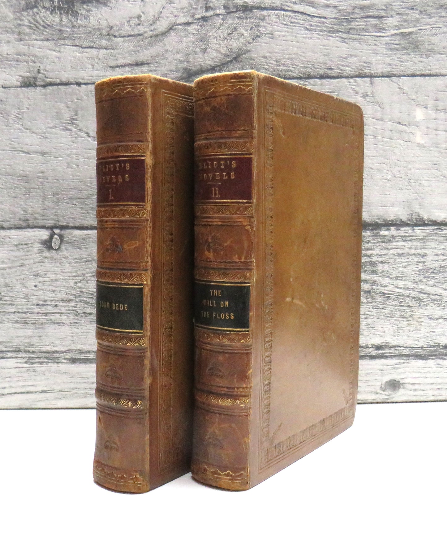 Novels of George Eliot Volume I & II Adam Bede & Mill On The Floss