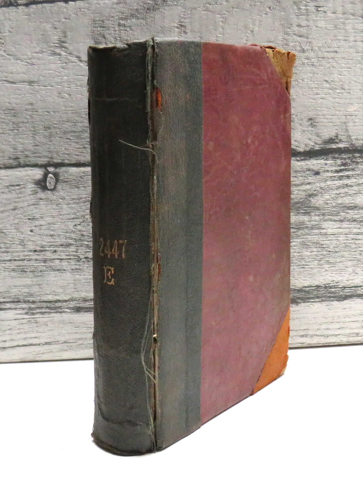 Remains Concerning Britain By William Camden 1870