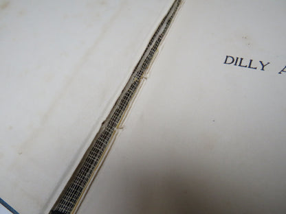 Dilly and Dally In Pictures and in Words By "Poy" and William McCartney 1919 1st Edition book image 3