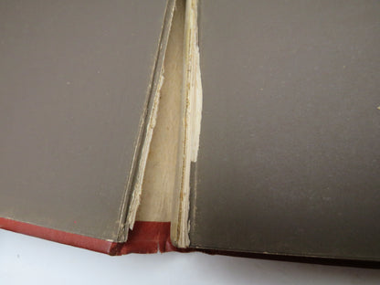The Poetical Works of John Milton Colourful Binding book image 3