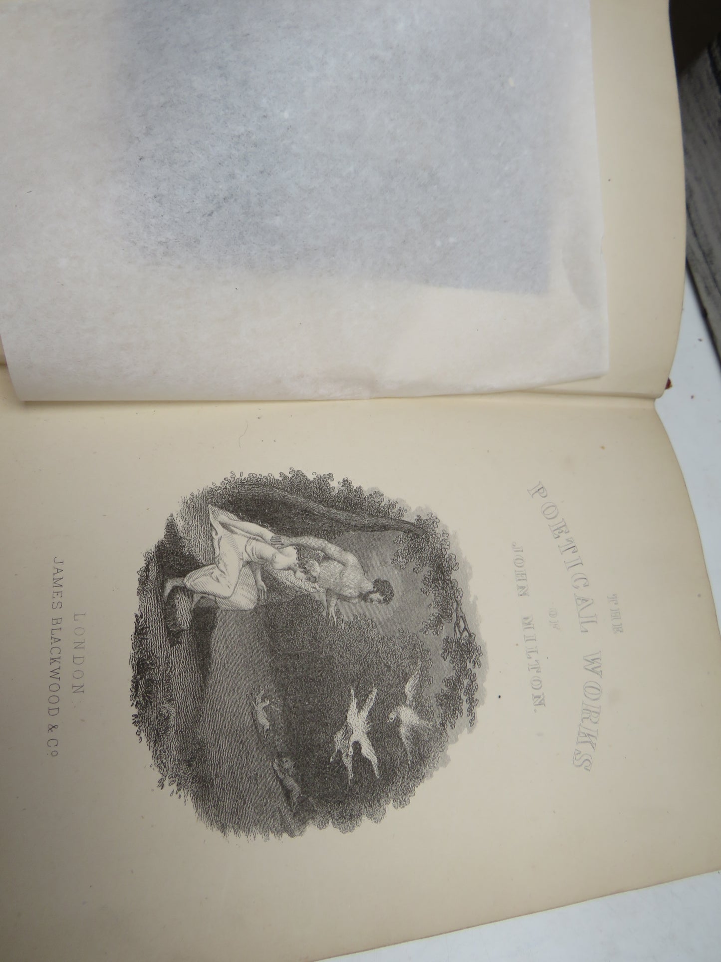 The Poetical Works of John Milton Colourful Binding
