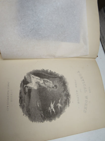 The Poetical Works of John Milton Colourful Binding book image 5