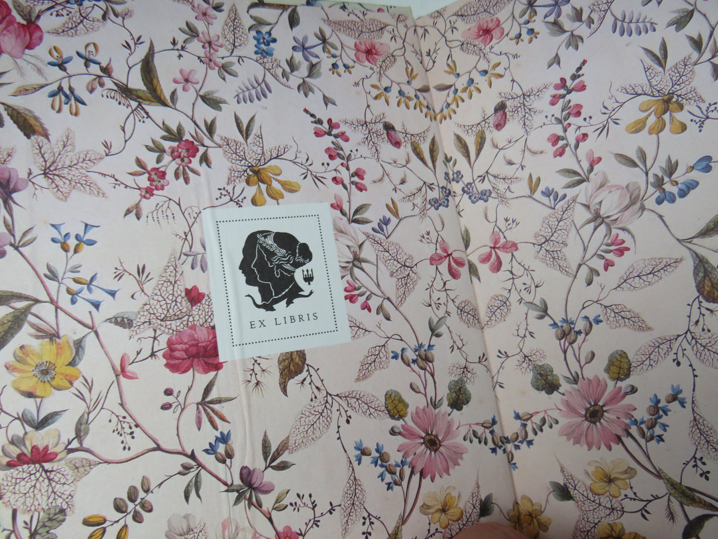 The Victoria and Albert Colour Books - Rococo Silks 1988