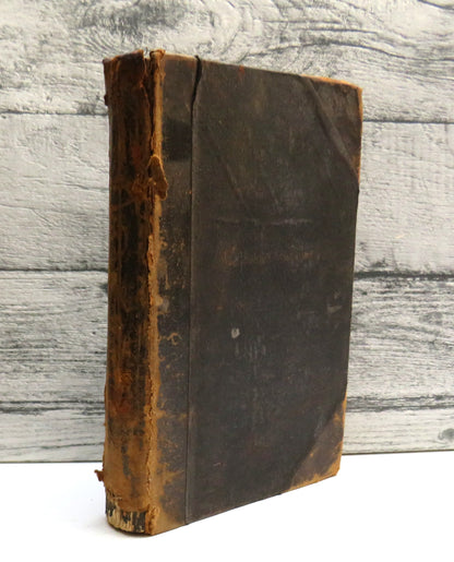 The Blot Upon The Brain: Studies In History and Phycology By William W. Ireland 1885