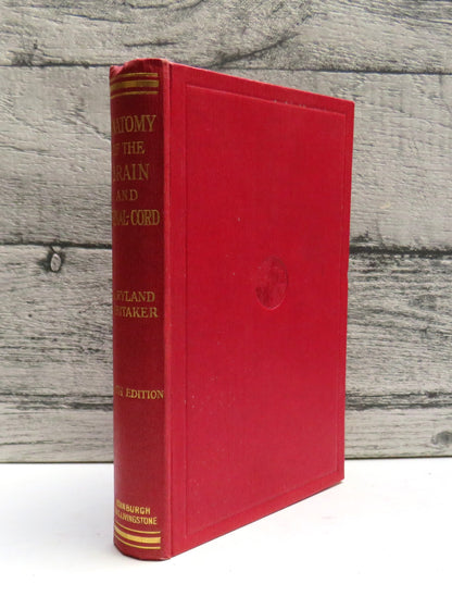 Anatomy of the Brain and Spinal Cord By J. Ryland Whitaker 1921 Antique Book