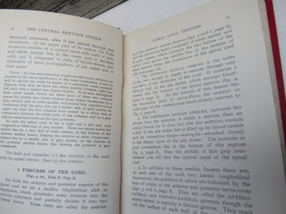 Anatomy of the Brain and Spinal Cord By J. Ryland Whitaker 1921 Antique Book