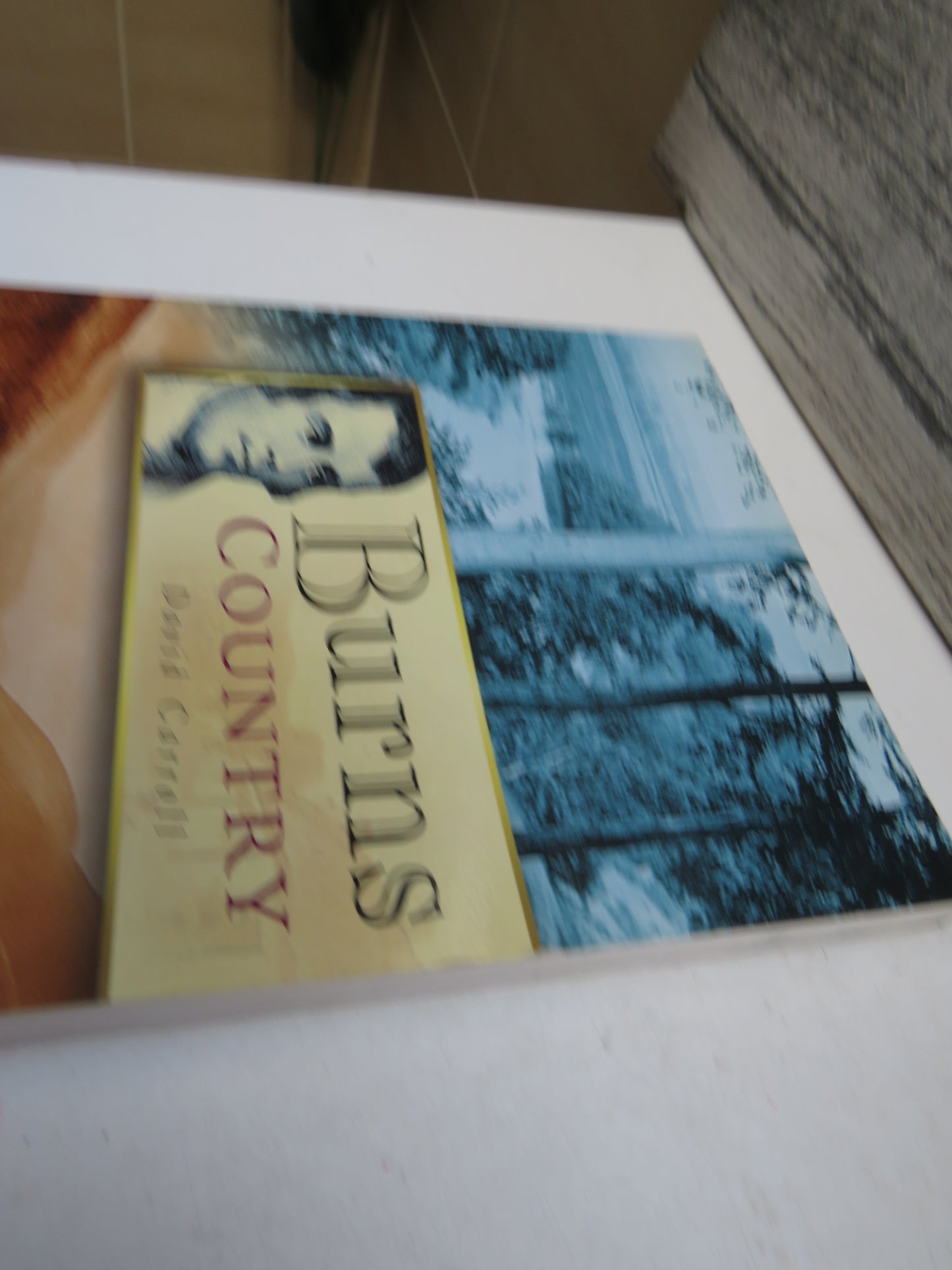Britain In Old Photographs Burns Country By David Carroll 1999