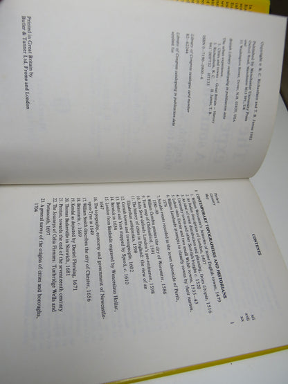 The Urban Experience, A Sourcebook, English, Scottish and Welsh Towns, 1450-1700, edited by R. C. Ri book image 3