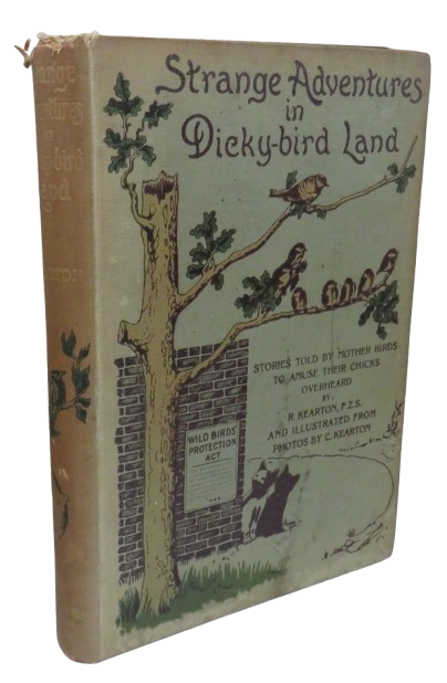 Strange Adventures In Dicky-Bird Land Stories Told By Mother Birds To Amuse Their Chicks and Overhea book front cover