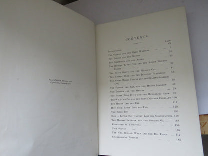 Strange Adventures In Dicky-Bird Land Stories Told By Mother Birds To Amuse Their Chicks and Overhea book image 4