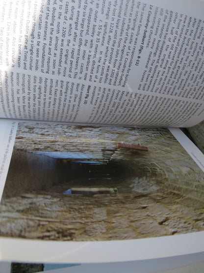 The Castle Studies Group Journal No.34 2020-21 book image 6