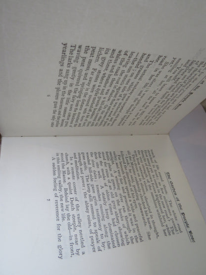 The Garden of the Purple Rose 1910 book image 4
