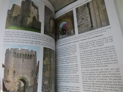 The Castle Studies Group Journal No 29 2015-16 book image 5