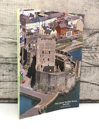 The Castle Studies Group Journal No 28 2014-15 book front cover