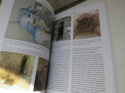 The Castle Studies Group Journal No 28 2014-15 book image 5