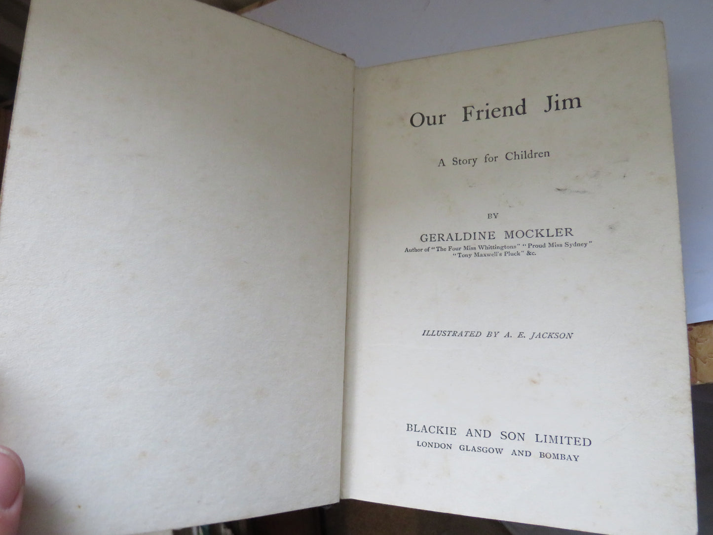 Our Friend Jim A Story for Children By Geraldine Mockler