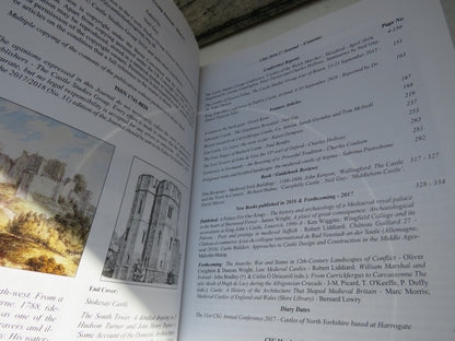 The Castle Studies Group Journal No 30 2016-17 book image 4