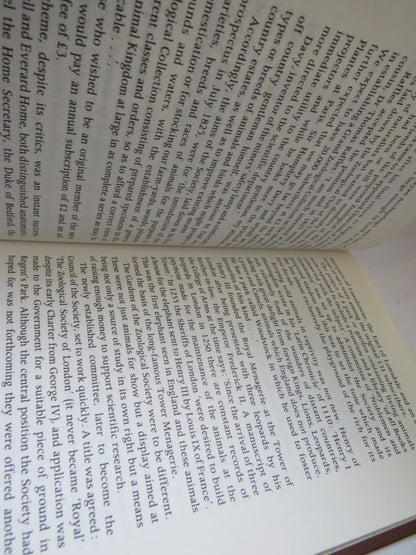 The London Zoo By Sally Holloway 1976 book image 4