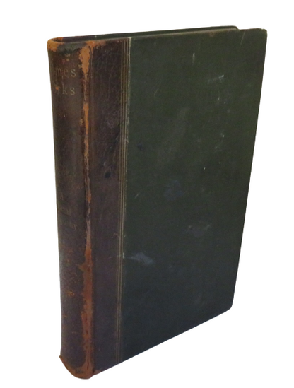 A Mortal Antipathy, First Opening of the New Portfolio by Oliver Wendell Holmes book front cover