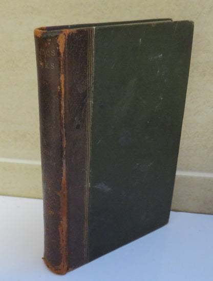 A Mortal Antipathy, First Opening of the New Portfolio by Oliver Wendell Holmes book image 2